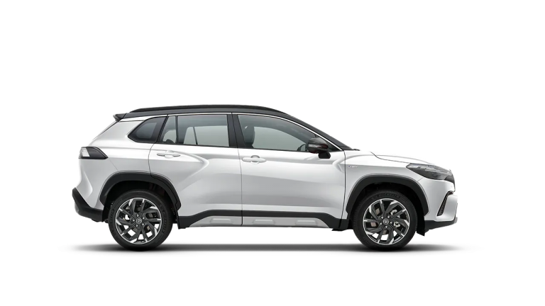 Platinum White Pearl Mica / Attitude Black Mica